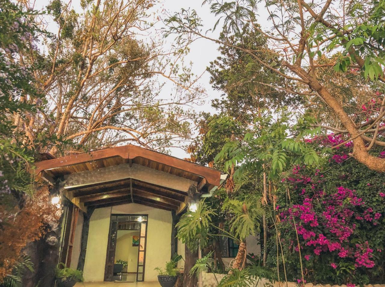 Monte Fresco Hostel Boutique Puntarenas Exterior photo